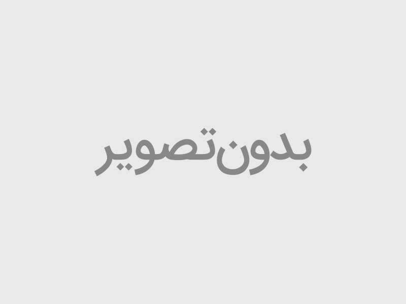 شارژر فندکی ریورسانگ مدل Safari P5 CC41C